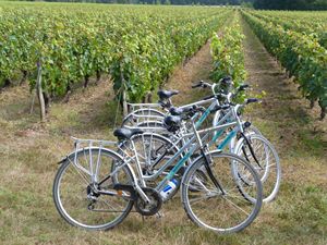 Les Châteaux à vélo