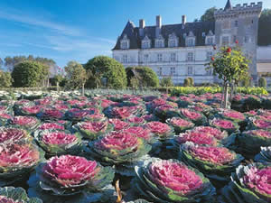 Château et jardins de Villandry